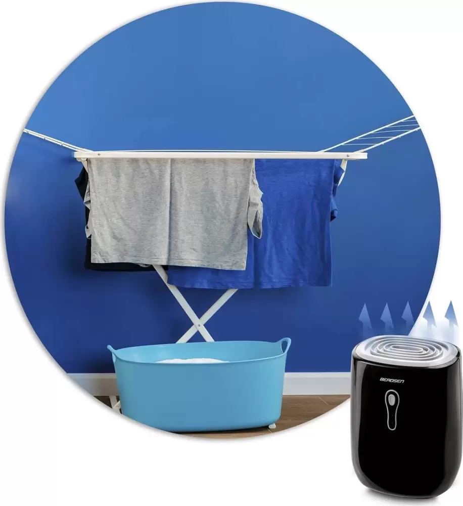 Осушитель воздуха Berdsen BR-75B фото