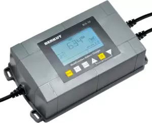Беркут BCA-10