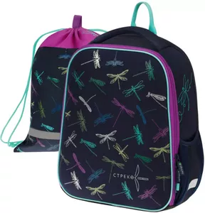 Школьный рюкзак Berlingo Expert Mini. Dragonfly RU09046 фото