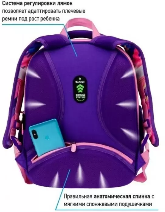 Школьный рюкзак Berlingo Profi Color The World RU07201 фото