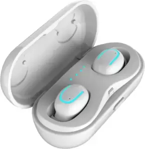 Наушники Bingo HBQ-Q13S (белый) фото