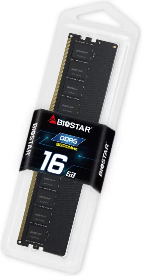 Biostar 16ГБ DDR5 4800 МГц