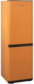 Холодильник Бирюса T320NF Оранжевый фото