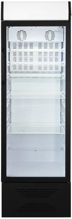 Бирюса B310PN