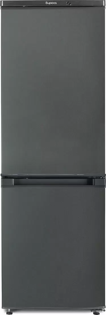 Бирюса W418