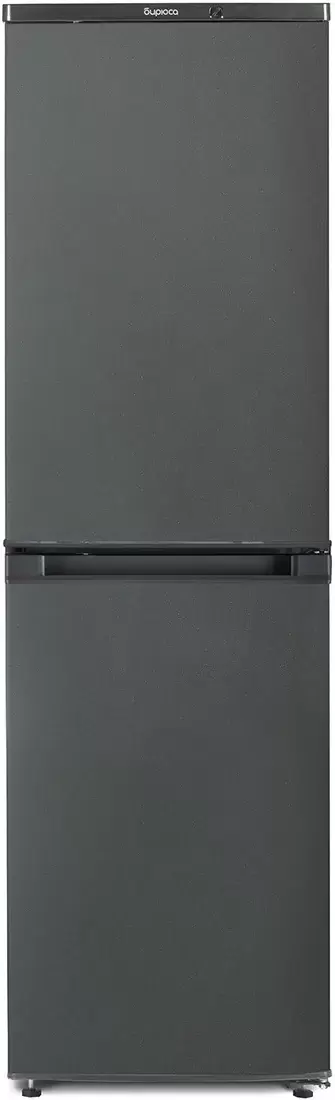 Бирюса W420