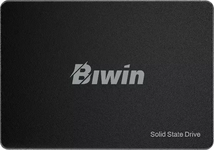 Biwin M100 1ТБ BM100NN01TB-RGX