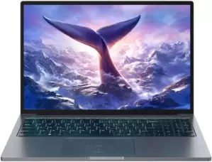 Blackview GamiBook 8 32GB/1TB (серый)