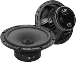 Автоакустика BLAM W165R2 LE фото