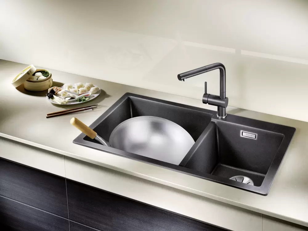Кухонная мойка Blanco Pleon 9 (левая, черный) фото