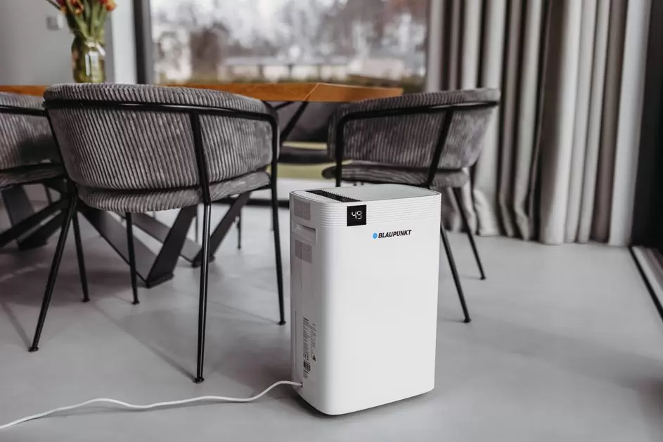 Осушитель воздуха Blaupunkt ADH601 фото