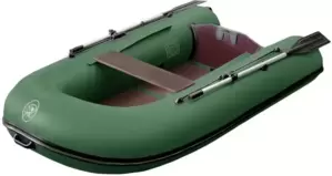 Моторно-гребная BoatMaster 250T фото