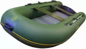 Моторно-гребная BoatMaster 310ТА фото