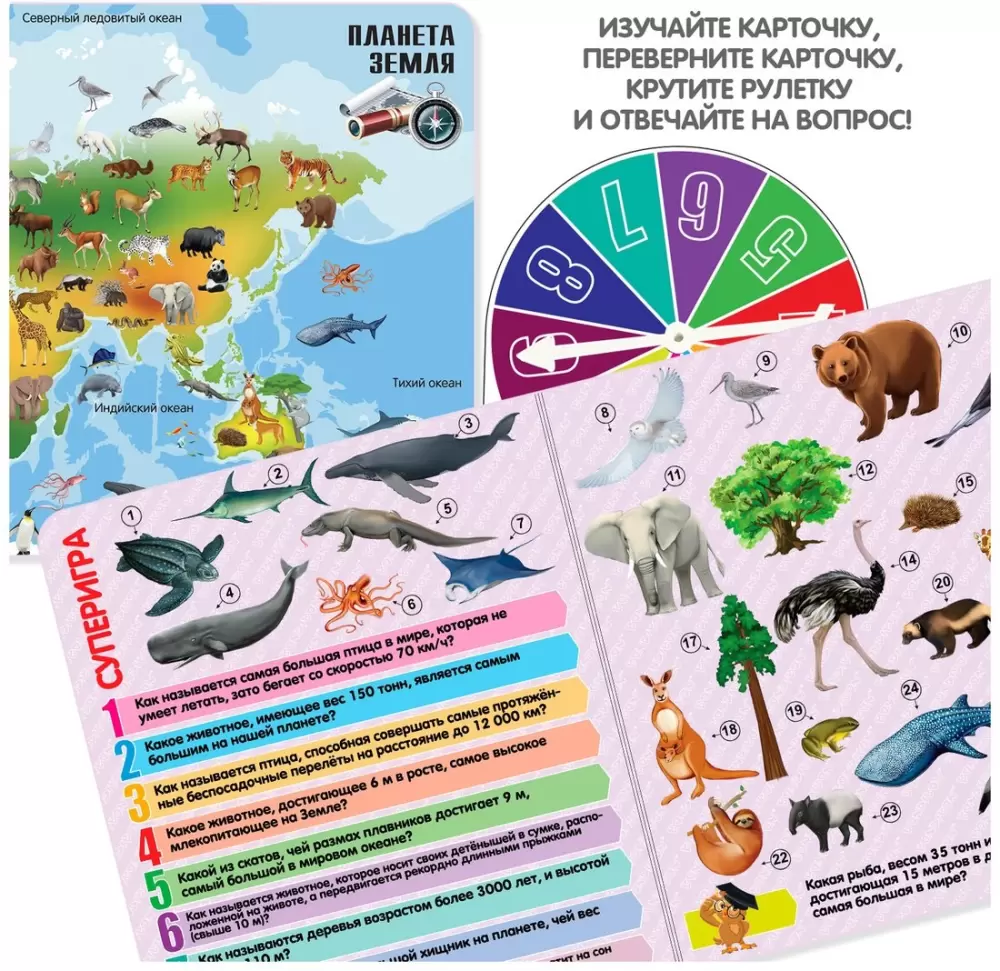 Настольная игра Bondibon Увлекательный мир животных и природы ВВ5551 фото 3