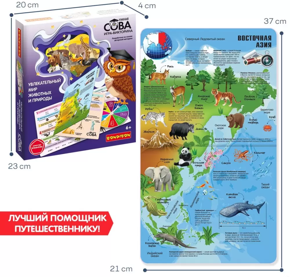 Настольная игра Bondibon Увлекательный мир животных и природы ВВ5551 фото 4