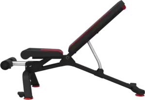 Bowflex 5.1S