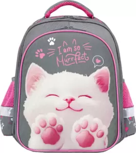 Школьный рюкзак Brauberg Standard. Purr Cat 274427 фото