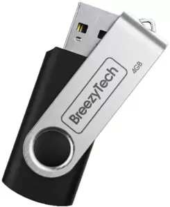 USB Flash BreezyTech U006 4GB (черный) фото