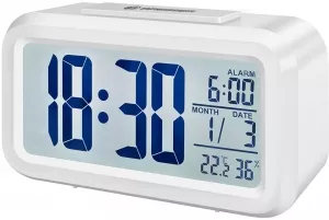 Электронные часы Bresser MyTime Duo LCD (белый) фото