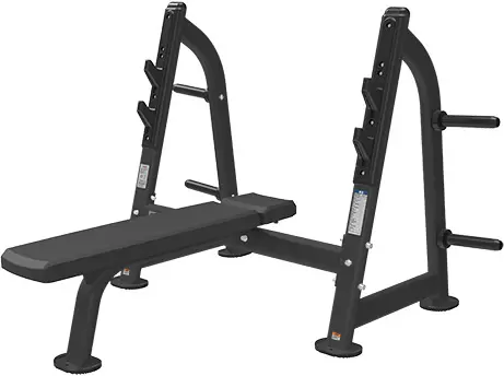 Bronze Gym BR-1012