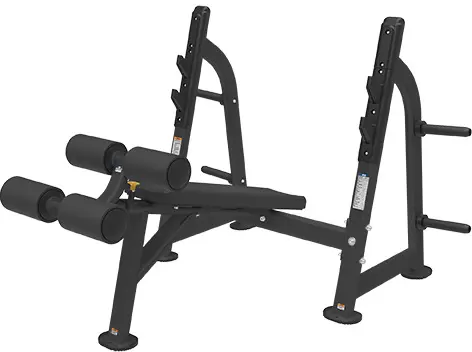 Bronze Gym BR-1013