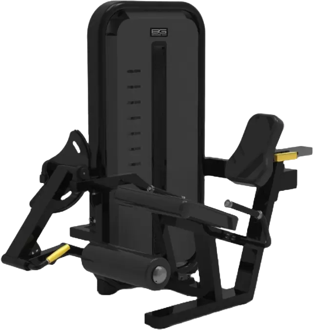 Bronze Gym MIGHT 02