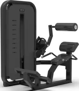 Разгибание спины Bronze Gym Might 23 фото