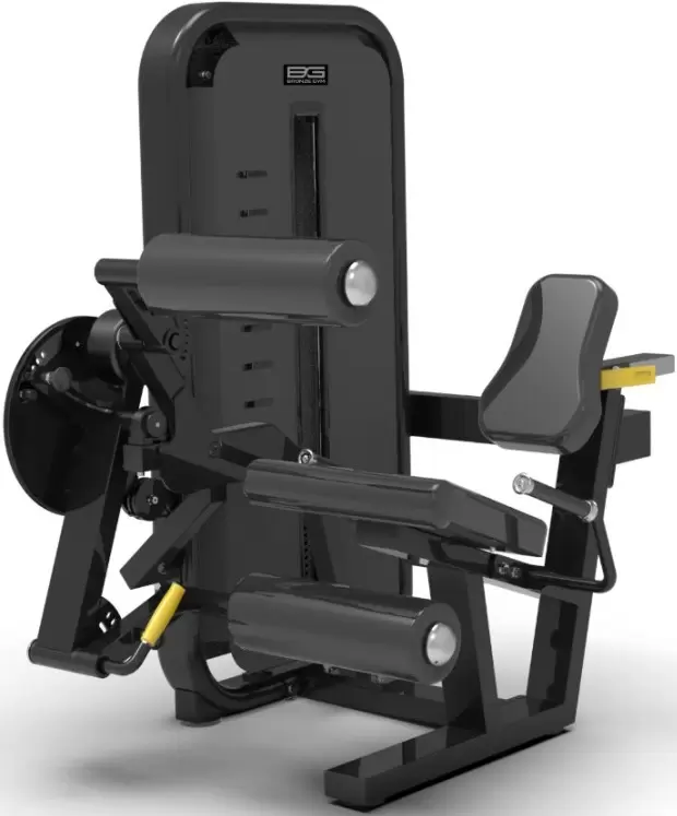 Bronze Gym MIGHT 54