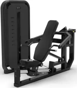 Bronze Gym MIGHT 56