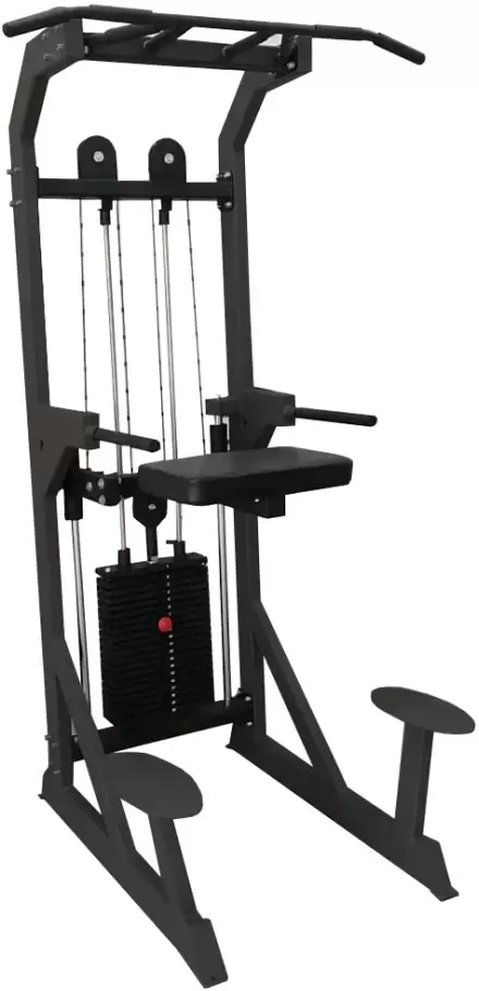 Bronze Gym PARTNER ML-701