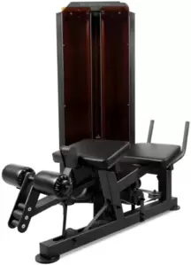 Сгибание ног лёжа BRONZE GYM PARTNER ML-802