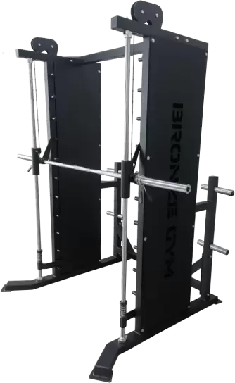 Bronze Gym PARTNER SM2