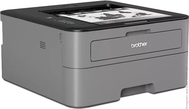 Лазерный принтер Brother HL-L2300DR фото 3