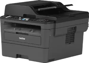 Многофункциональное устройство Brother MFC-L2710DW фото