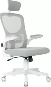 Бюрократ MC-W101-H (светло-серый, TW-02 TW-20 сетка/ткань)