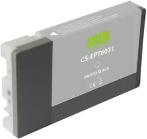 Cactus CS-EPT6031 (аналог Epson EPT6031)
