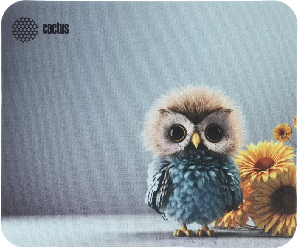 Cactus Owl Gray (CS-MPC-D12M)
