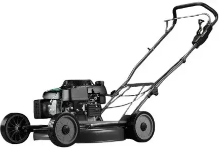 Caiman Fasto SD 55CP