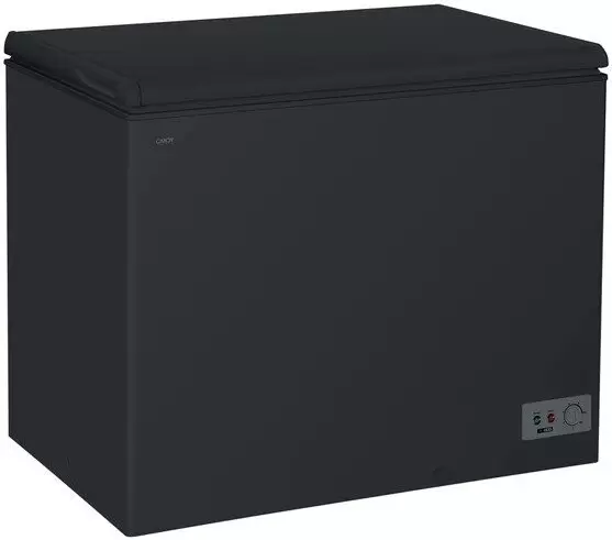 Морозильный ларь Candy CCHH200EB фото