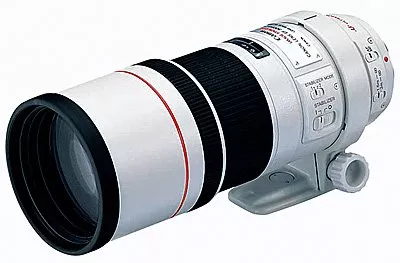 Объектив Canon EF 300 mm f/4L IS USM фото