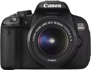 Фотоаппарат Canon EOS 650D Double Kit 18-55mm IS II + 75-300mm III USM фото
