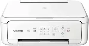 Многофункциональное устройство Canon Pixma TS5151 фото