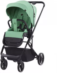 Прогулочная коляска Carrello Alfa (CRL-5508, pear green) фото