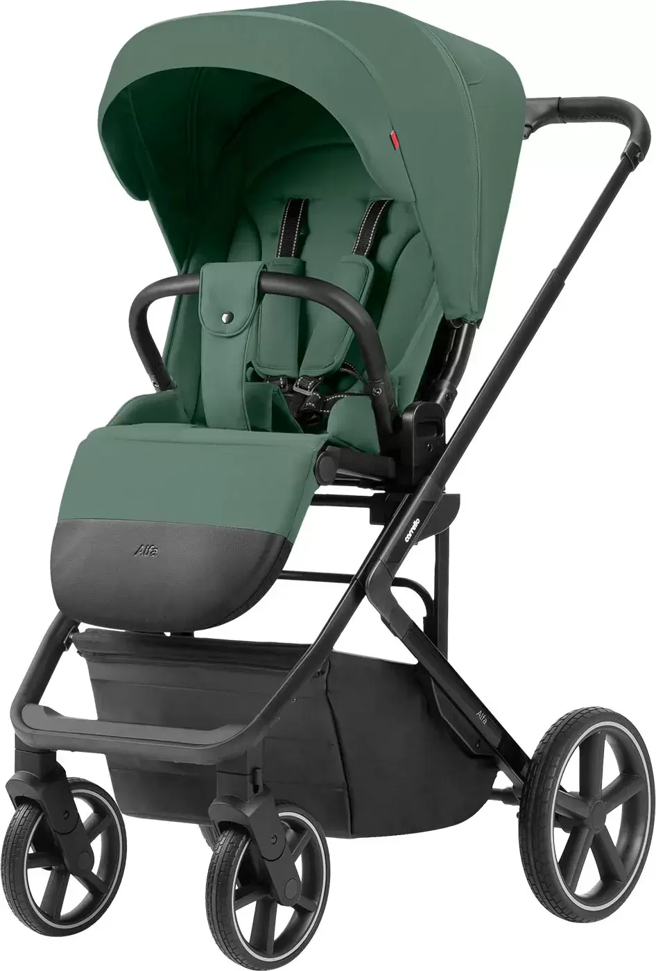 Детская универсальная коляска Carrello Alfa 2 в 1 CRL-6522 (Meadow Green) фото