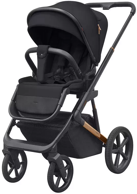 Детская универсальная коляска Carrello Sigma 2 в 1 CRL-6523 (Iridium Black) фото