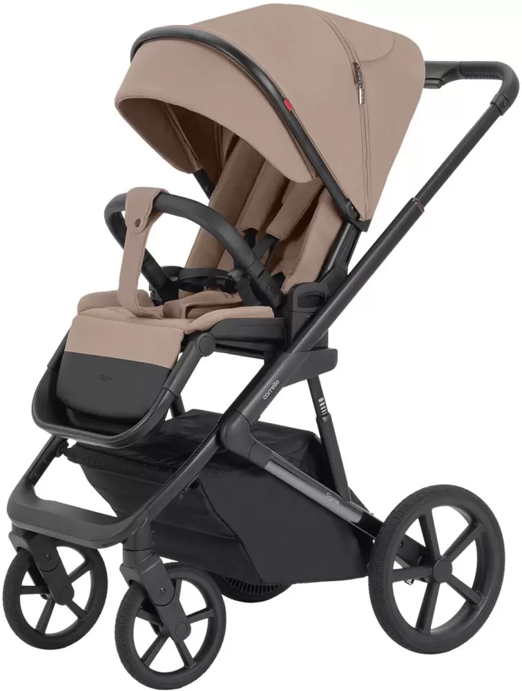 Детская универсальная коляска Carrello Sigma 2 в 1 CRL-6523 (Iridium Black) фото