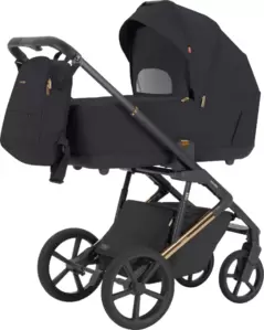 Детская универсальная коляска Carrello Sigma 2 в 1 CRL-6523 (Iridium Black) фото