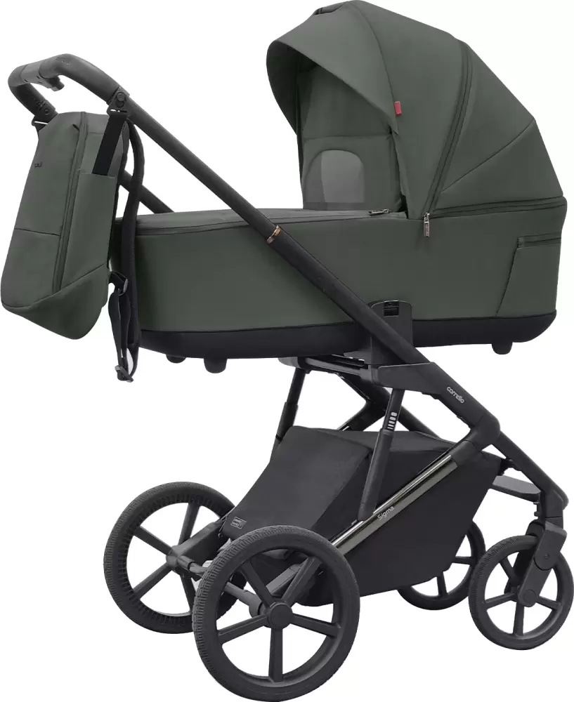 Carrello Sigma 2 в 1 CRL-6523 (Leaf Green)