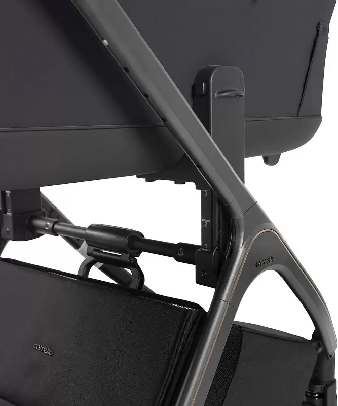 Детская универсальная коляска Carrello Vector 2 в 1 CRL-6551 (Shadow Black) фото