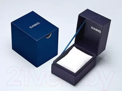 Наручные часы Casio LTP-E143DBL-4A1 фото